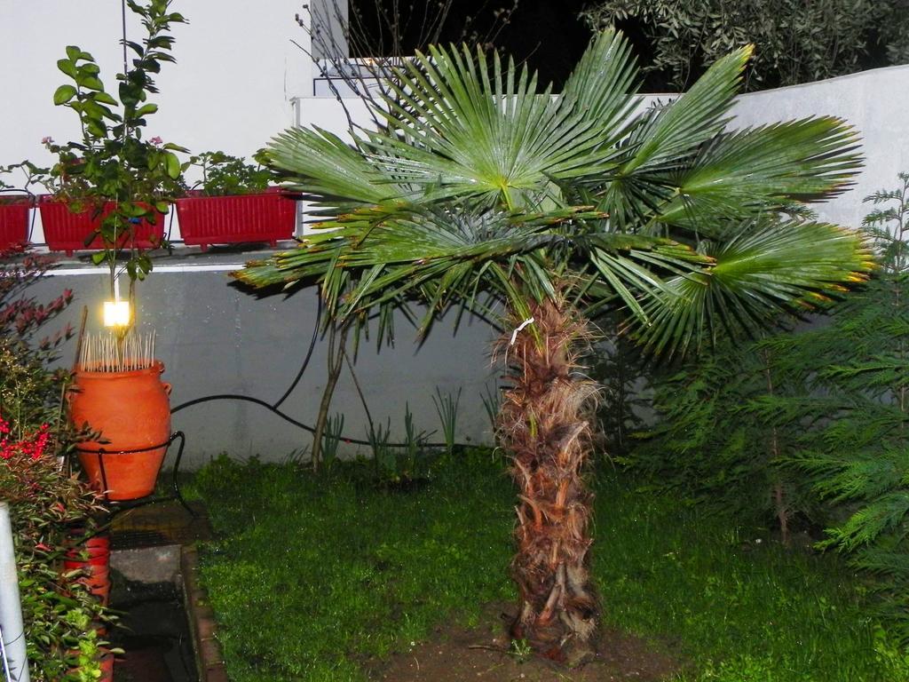 Villa Anna Limenas  Ngoại thất bức ảnh